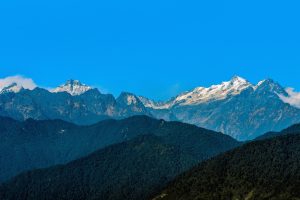 Real Sikkim Online Betting: Complete 2026 Guide for Indian Players